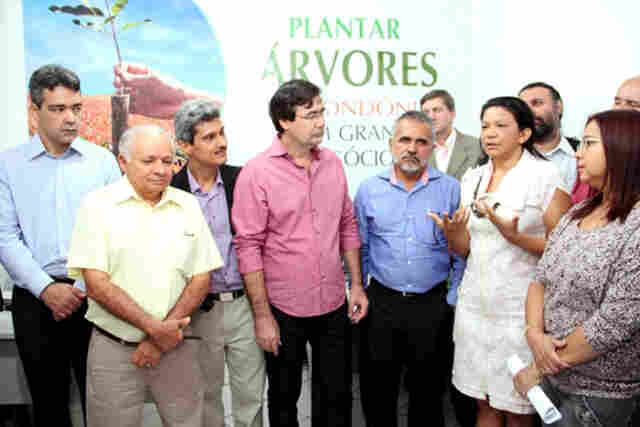 Florestas plantadas: Parcerias fortalecem o &#115;etor