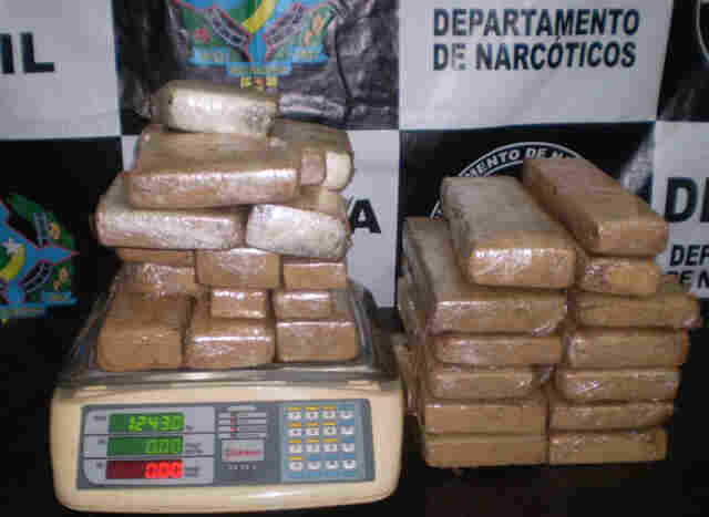 Polícia Civil apreende quase trinta quilos de maconha