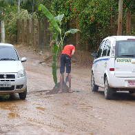 Revoltado, morador planta bananeira em via esburacada