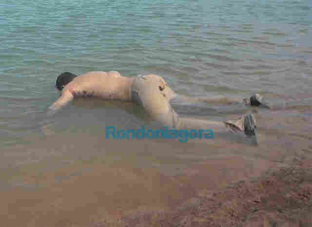 Corpo de homem encontrado em lagoa no Jardim Santana; Imagem forte