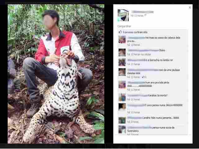 Agricultor escapa de indiciamento por foto com onça