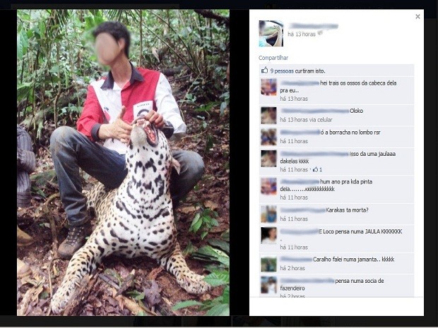 Agricultor escapa de indiciamento por foto com onça