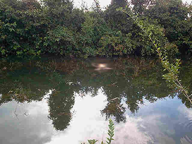 Corpo de homem é encontrado em igarapé na BR-319