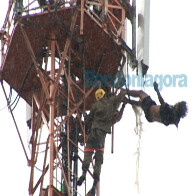 VÍDEO MOSTRA HOMEM SE JOGANDO DE TORRE EM PORTO VELHO