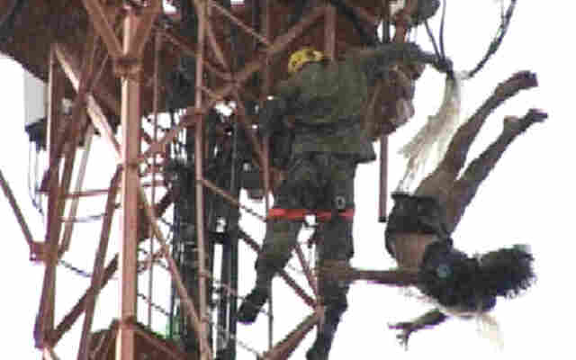 NOVO VÍDEO MOSTRA HOMEM SE JOGANDO PARA A MORTE E O DESESPERO DE QUEM VIU TUDO
