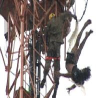 NOVO VÍDEO MOSTRA HOMEM SE JOGANDO PARA A MORTE E O DESESPERO DE QUEM VIU TUDO
