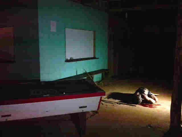 Homem é assassinado brutalmente na zona rural de Porto Velho