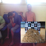 Denarc apreende quase 700 quilos de maconha