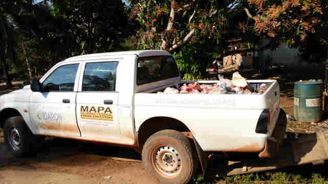 Idaron interdita abatedouro clandestino em Cacoal e apreende 2 toneladas de carne