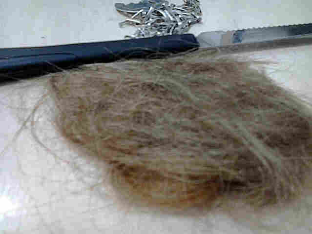Valentão agride e corta cabelo da esposa mas acaba preso