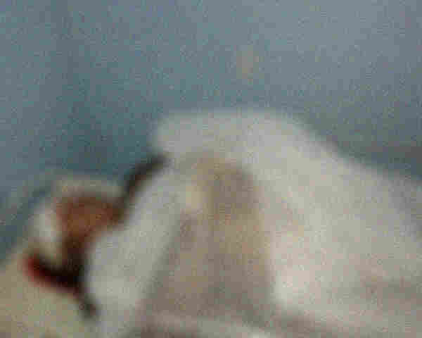 CUNHADO MATA SARGENTO DA PM DURANTE DISCUSSÃO EM PORTO VELHO