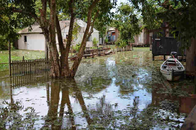 NÍVEL DO MADEIRA DEVE CHEGAR A 17 METROS ENTRE SÁBADO E DOMINGO