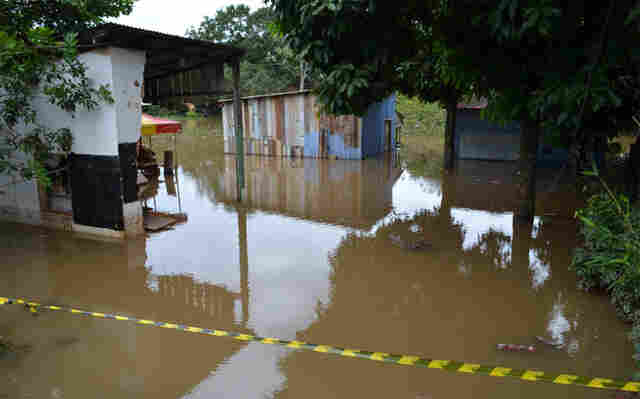 SAÚDE CONFIRMA 17 CASOS DE LEPTOSPIROSE EM PORTO VELHO