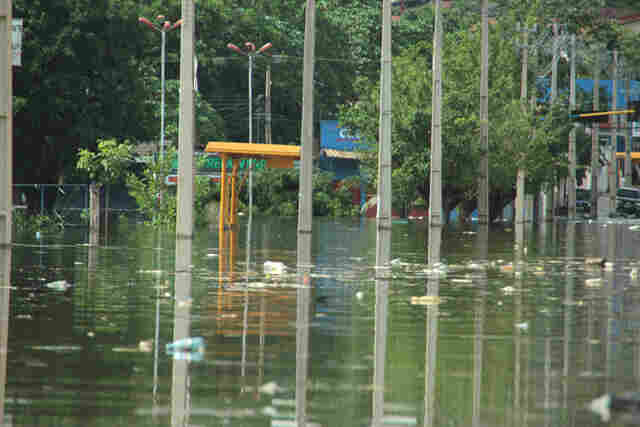 Prefeitura: Exame feito pela USP descarta contaminação de cólera no Madeira