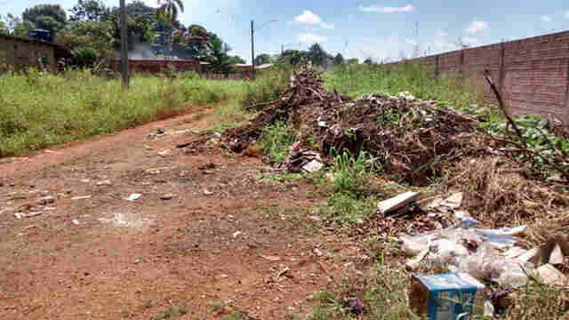 Mato e lixo isolam rua no Lagoinha