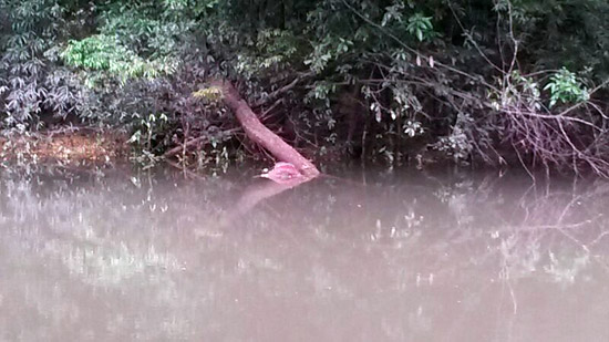 Corpo de homem encontrado no Rio das Garças em Porto Velho