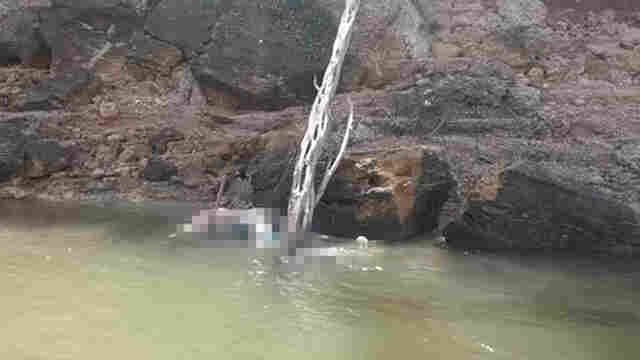 Homem passa mal, cai em rio e morre afogado