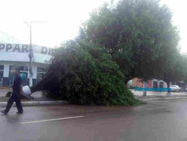 Temporal: Árvores e telhados caíram na região central de Porto Velho; placas voaram na Jorge Teixeira