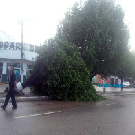 Temporal: Árvores e telhados caíram na região central de Porto Velho; placas voaram na Jorge Teixeira