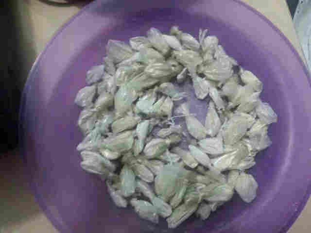 Agentes penitenciários encontram 15 celulares e drogas em cela do Panda