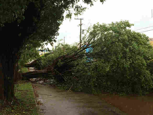 Temporais continuam causando destruição na Capital