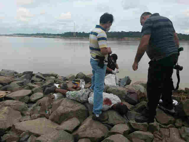 Corpo de jovem encontrado baleado próximo ao Rio Madeira