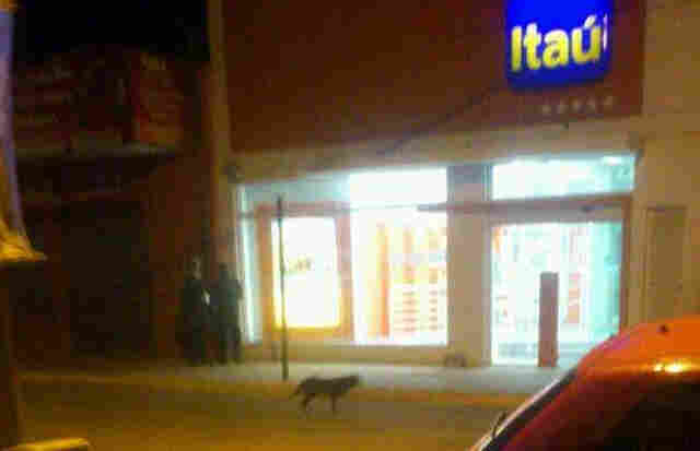 Bando invade Itaú, mas alarme é acionado na Capital