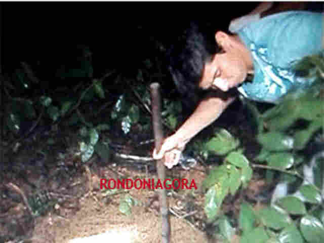 TRIBUNAL DE JUSTIÇA MANTÉM PENA DE 23 ANOS A ESTUPRADOR E ASSASSINO