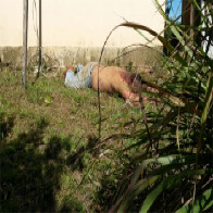 HOMEM É BRUTALMENTE MORTO A PEDRADAS E PAULADAS; SUSPEITO É PRESO