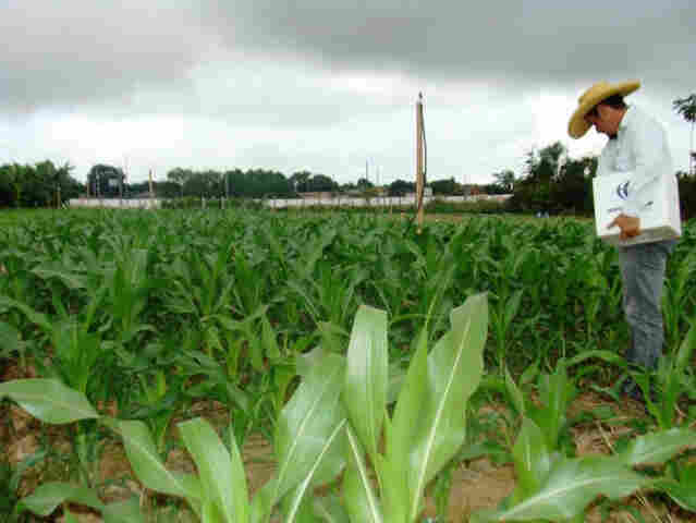 Produtores já se preparam para Rondônia Rural Show