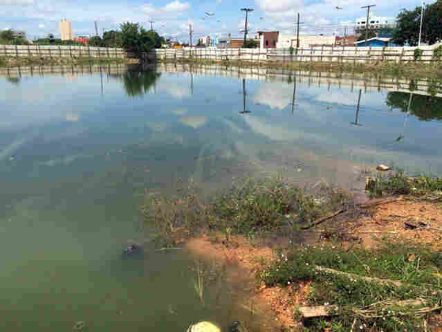 Grande área na Jorge Teixeira pode ser foco de dengue na Capital