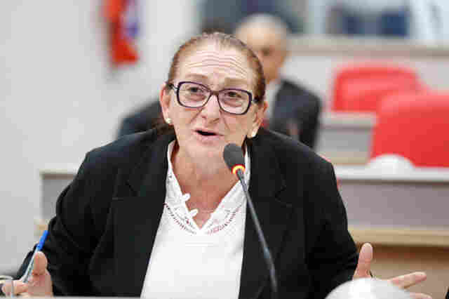 Lúcia Tereza quer microfone para professor da rede pública