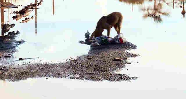 Vizinhos da Semob em Porto Velho, moradores do Bairro Flamboyant reclamam de descaso