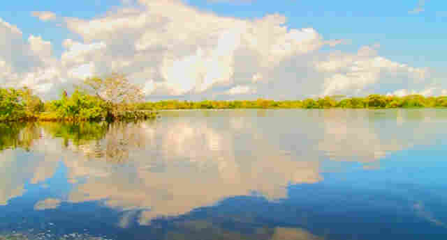 Pescaria garantida no Rio Guaporé, paraíso de beleza inigualável