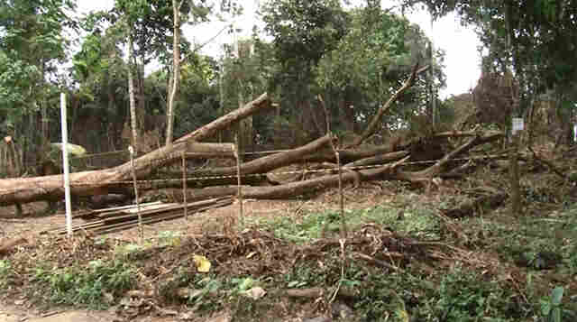 Famílias invadem Cemitério da Candelária