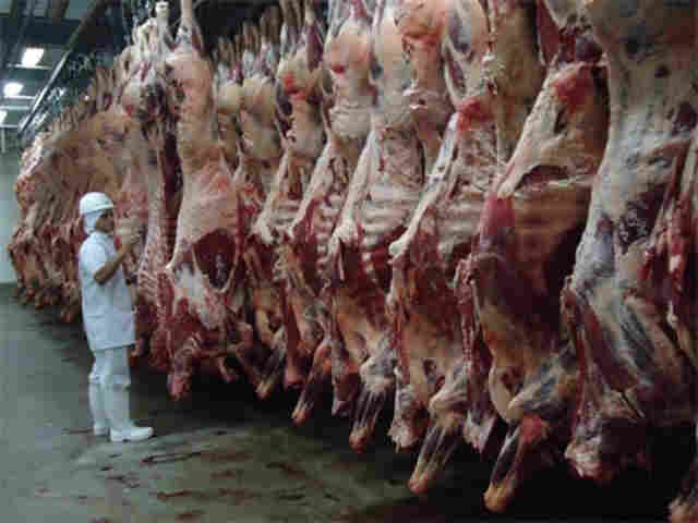 LEVANTAMENTO DA IDARON DESMENTE ALEGAÇÃO DA JBS FRIBOI SOBRE FALTA DE GADO EM RONDÔNIA