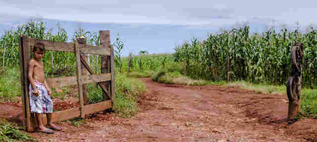 Aos 20 anos, "Massacre de Corumbiara" ganha primeiro livro-reportagem