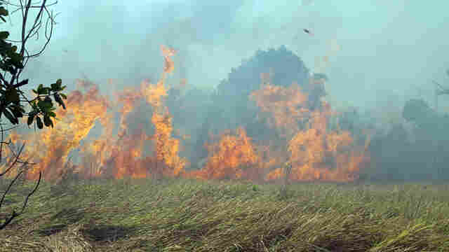 Porto Velho &#34;sitiada&#34; pelas queimadas; Vídeo