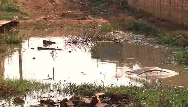 Lamaçal resiste ao verão no Bairro Aponiã, em Porto Velho