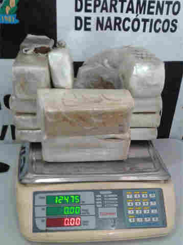 Polícia descobre produtos roubados de loja e encontra grande quantidade de maconha em geladeiras