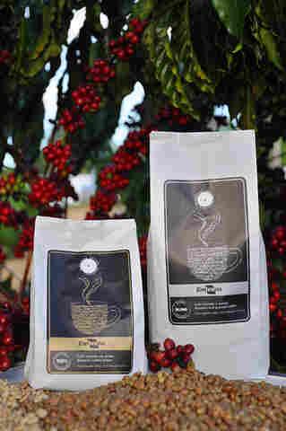 Embrapa Rondônia leva tecnologias para a Feira Portoagro, em Porto Velho