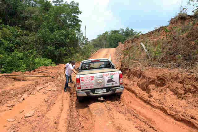 IBAMA VOLTA ATRÁS E LIBERA OBRAS DE RECUPERAÇÃO DA BR-319