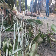 BRIGA POR DÍVIDA ACABA EM TORTURA E ASSASSINATO