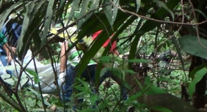 Quatro corpos em avançado estado de decomposição são encontrados em Apuí