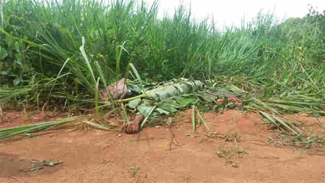 BOLIVIANO MATA JOVEM DE 24 ANOS EM GARIMPO PRÓXIMO A BR