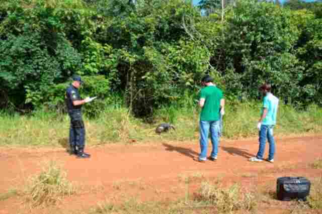 Corpo em decomposição é encontrado na região rural