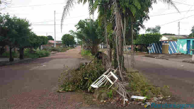 Moradores reclamam de árvores cortadas pela Prefeitura e deixadas em via de Porto Velho