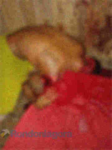 Irmãos matam padrasto com várias facadas em Porto Velho