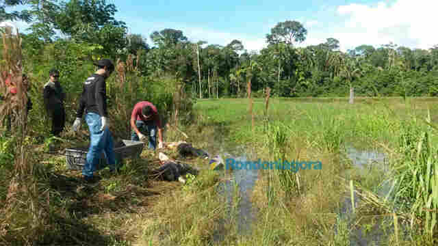 DOIS HOMENS SÃO MORTOS E UM DELES TEM MÃO, PÉ E ORELHA ARRANCADOS
