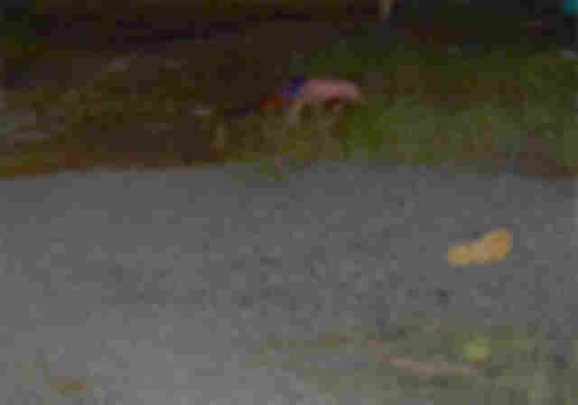 Homem é morto a tiros na própria casa em Jaru